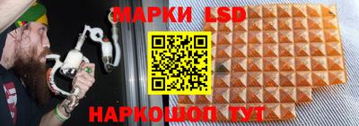 прущие крисы Обь