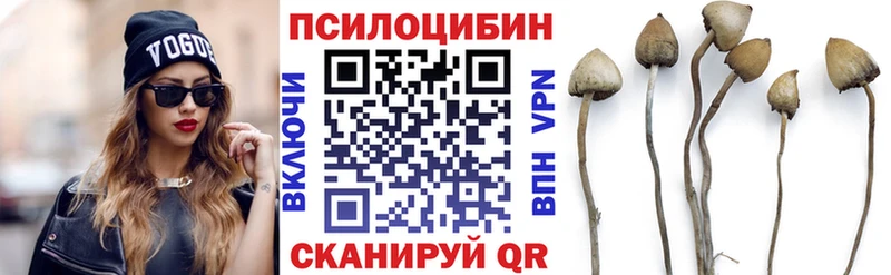 Псилоцибиновые грибы ЛСД Мончегорск