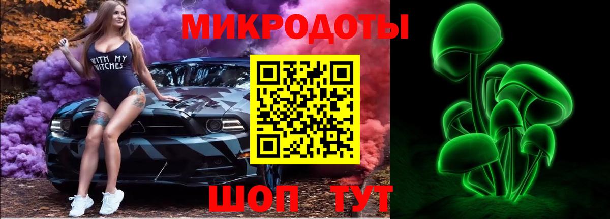Галлюциногенные грибы прущие грибы Мончегорск