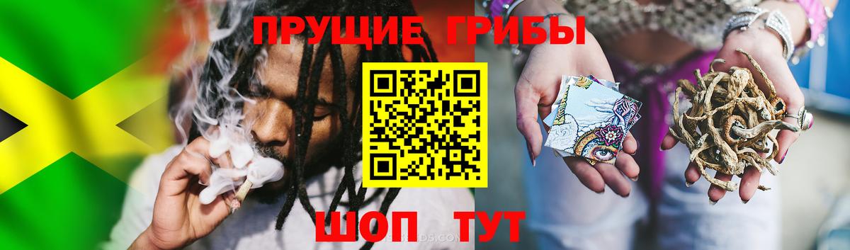 как найти наркотики  Вход с VPN  Мончегорск  Псилоцибиновые грибы Magic Shrooms  Галлюциногенные грибы MAGIC MUSHROOMS 